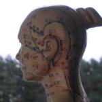Meridians